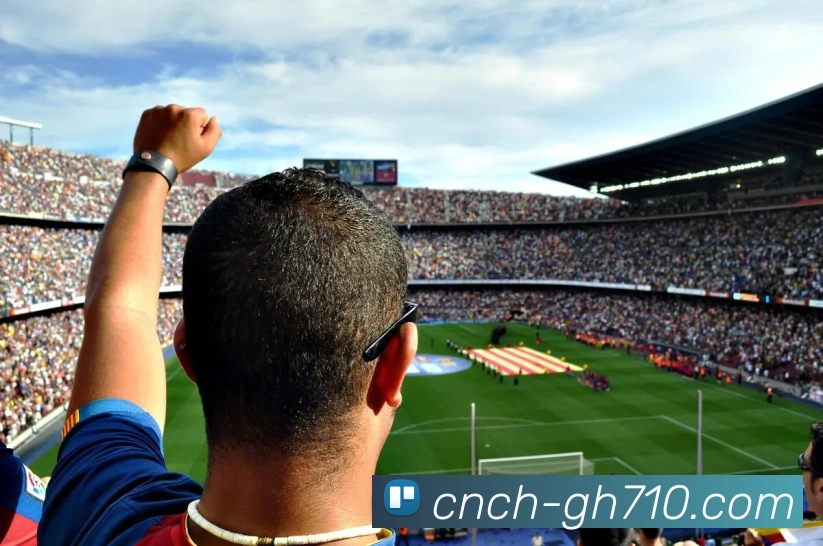 公海710官网平台生态图