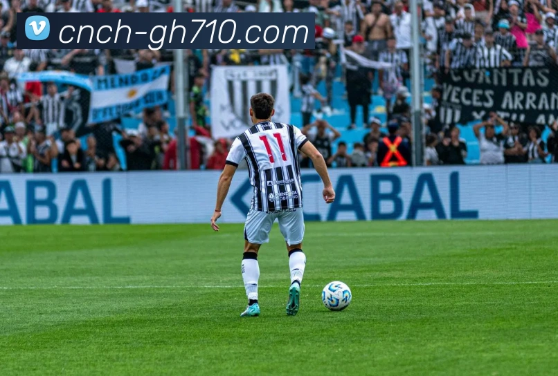 公海710官网APP 封面图